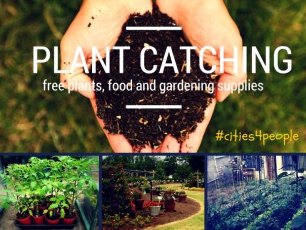 Le jardinage altruiste pour changer le monde 