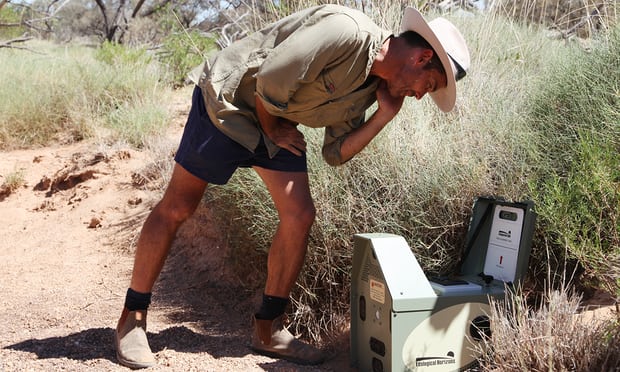 L'Australie combat les chats en surnombre avec des systèmes robotiques