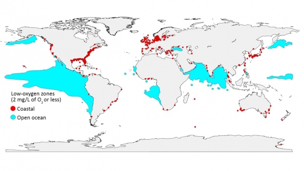 Les zones océaniques sans oxygène se multiplient de manière alarmante