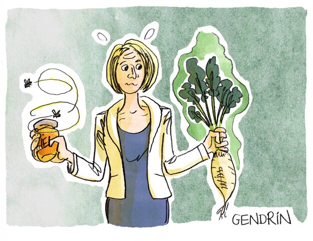Néonicotinoïdes : défenseurs des abeilles et de la betterave s'opposent autour du gouvernement