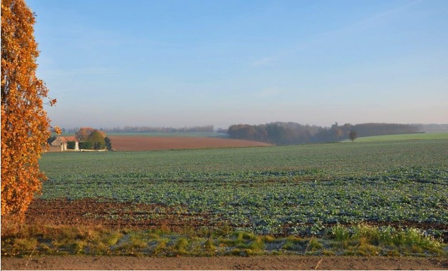 Saclay : un projet du passé qui saccage les terres d'aujourd'hui