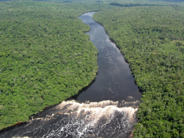 Le Brésil dévaste l'Amazonie au nom de l'économie