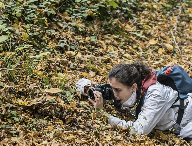 Reporterre sur France Culture : Peut-on être journaliste environnemental sans être militant<small class="fine d-inline"> </small>?
