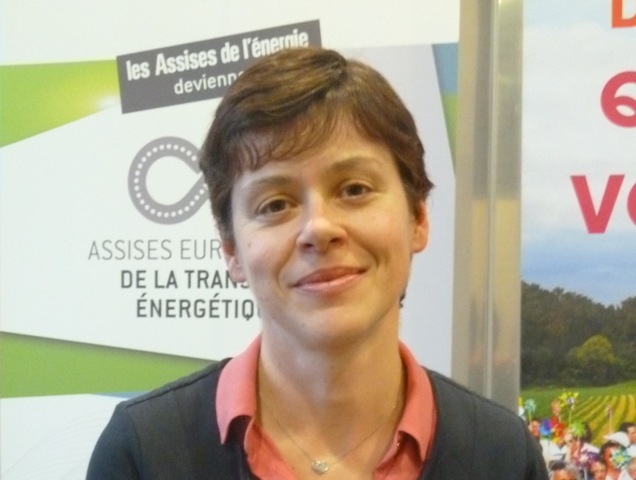 Qu'est-ce qu'une entreprise locale de distribution dans l'énergie<small class="fine d-inline"> </small>?