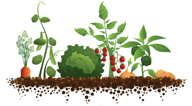 La transition passe aussi par l'alimentation