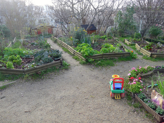L'agriculture urbaine déchirée entre business et engagement militant