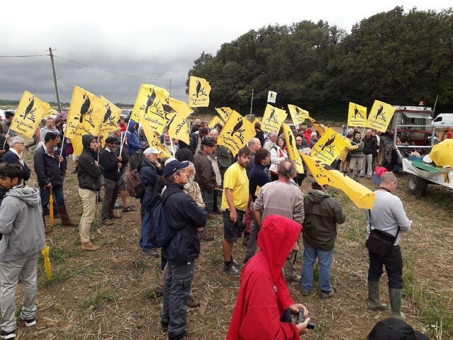Dans l'Indre, des paysans occupent les terres «<small class="fine d-inline"> </small>accaparées<small class="fine d-inline"> </small>» par un groupe chinois