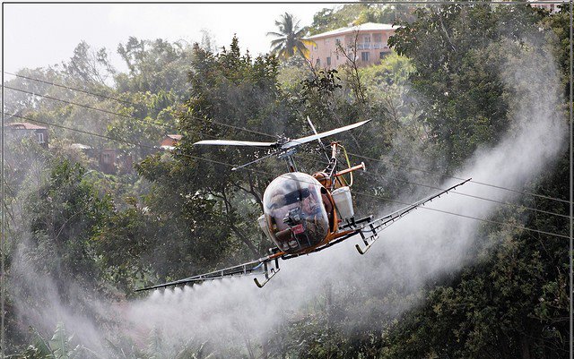 Chlordécone aux Antilles : la contamination est massive, la justice prend son temps