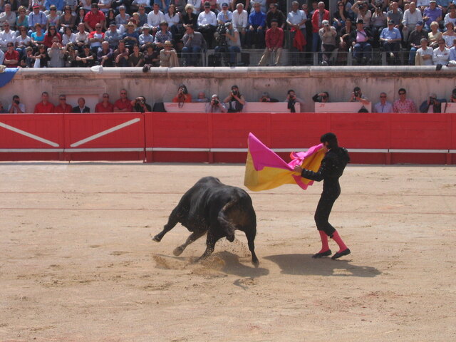 Soutien à la corrida : l'agglomération de Nîmes a dépensé 340 000 euros en 5 ans