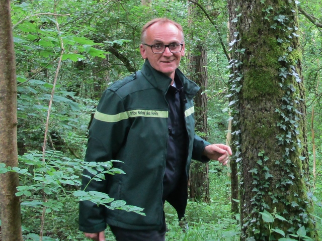 En quoi la forêt de Verdun est-elle d'exception<small class="fine d-inline"> </small>? 