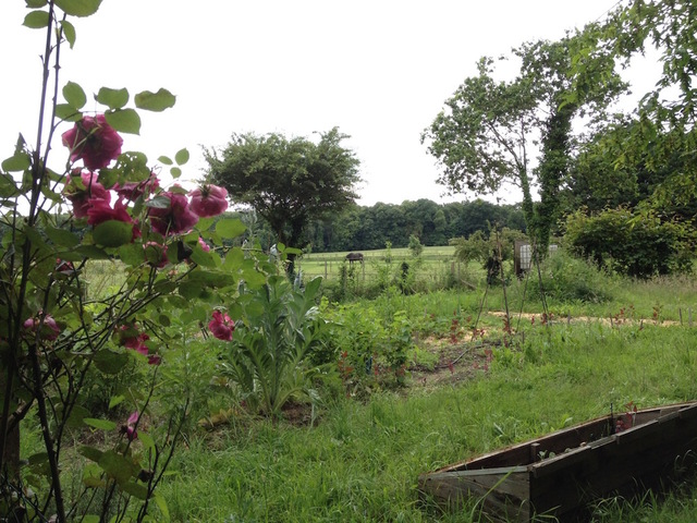 Le jardin sans pétrole manque de soleil<small class="fine d-inline"> </small>!