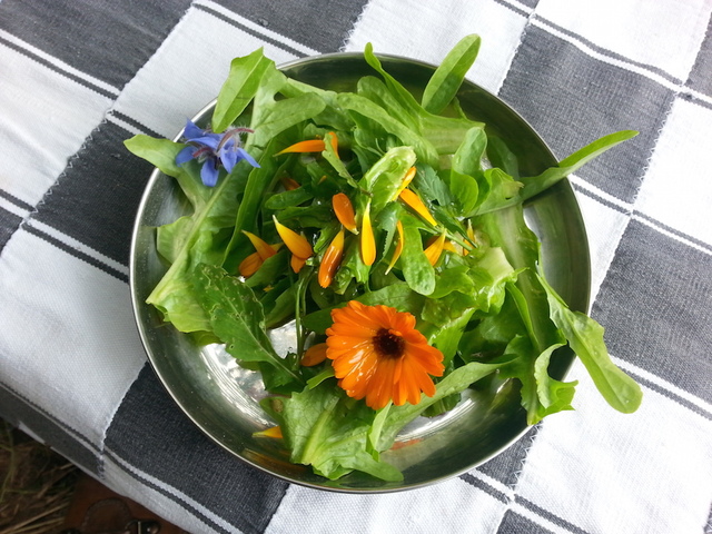La mère de toutes les salades est... un bien commun