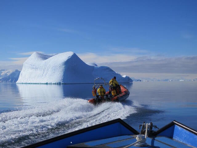 Reporterre sur France Inter : la faune antarctique va être transformée par le réchauffement