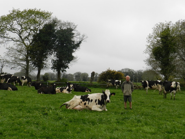 Le lait issu des pâturages est plus écolo et plus rentable