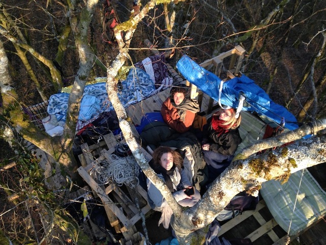 <span class="caps">EXCLUSIF</span> - À Bure, dans un arbre du bois Lejuc, que les militants ont ré-occupé : récit en images