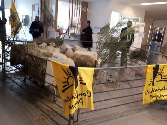 La Confédération paysanne occupe le ministère de l'Agriculture