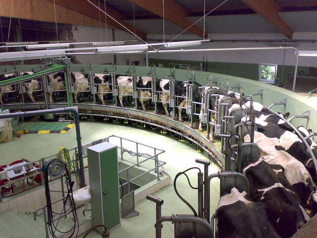 Les grandes firmes productrices de viande émettent énormément de gaz à effet de serre