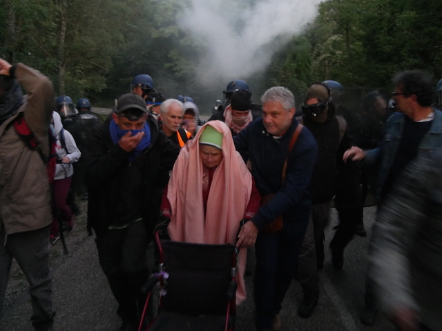 Les gendarmes évacuent violemment la Zad du Moulin, près de Strasbourg