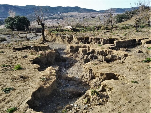«<small class="fine d-inline"> </small>On va avoir un paysage lunaire<small class="fine d-inline"> </small>!<small class="fine d-inline"> </small>» L'Espagne affronte la désertification