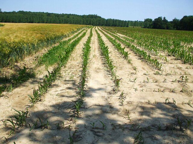 Sécheresse : neuf départements connaissent déjà des restrictions d'eau