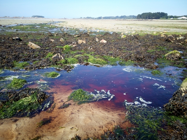 25.000 euros d'amende pour avoir rejeté des pesticides dans un cours d'eau