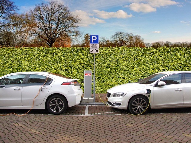 Selon une <span class="caps">ONG</span>, les véhicules hybrides polluent beaucoup plus qu'annoncé