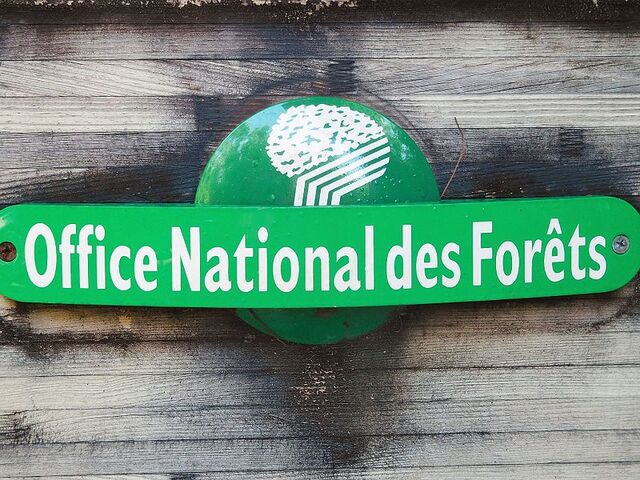 Le gouvernement veut tailler à la hache l'Office national des forêts