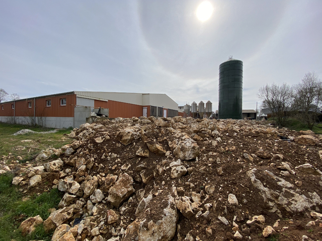 Dans le Sud-Ouest, des milliers de porcs, deux présidents, et un ancien camp de concentration