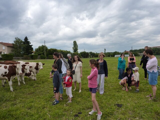 On joue à manger mieux et moins cher - et ça marche<small class="fine d-inline"> </small>!