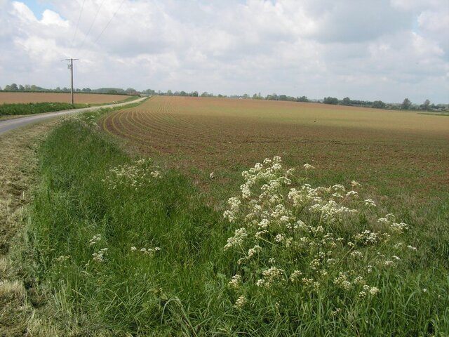La politique agricole conduit dans le Nord à l'arrachage des haies et à la disparition du bocage