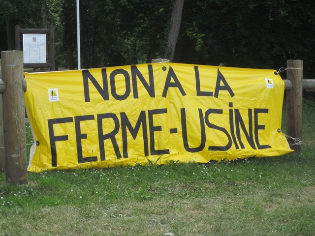 En Gironde, la colère monte contre une ferme-usine de 12 000 porcs