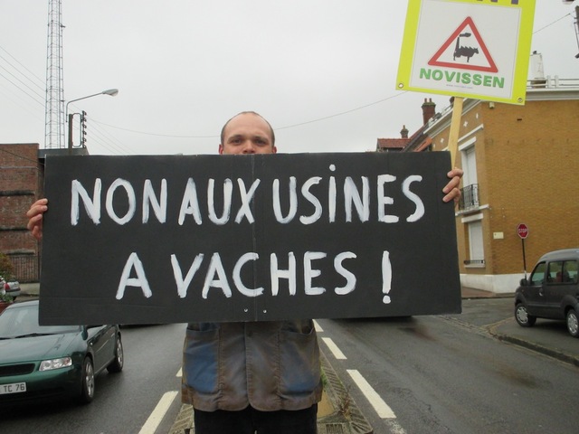 Ferme-usine : les autorités confirment le non-respect du nombre d'animaux autorisés