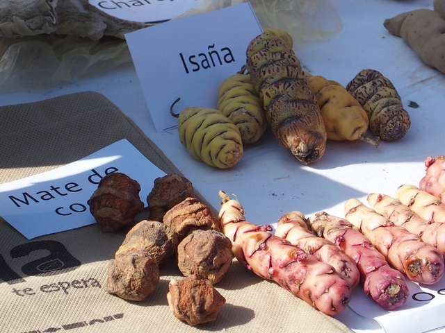«<small class="fine d-inline"> </small>Les semences sont le socle de la lutte pour la souveraineté alimentaire<small class="fine d-inline"> </small>»