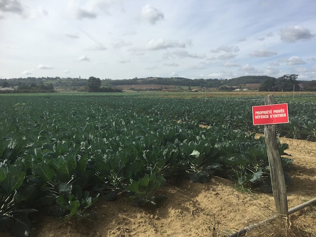 Des grands projets utiles pour se remplir les poches