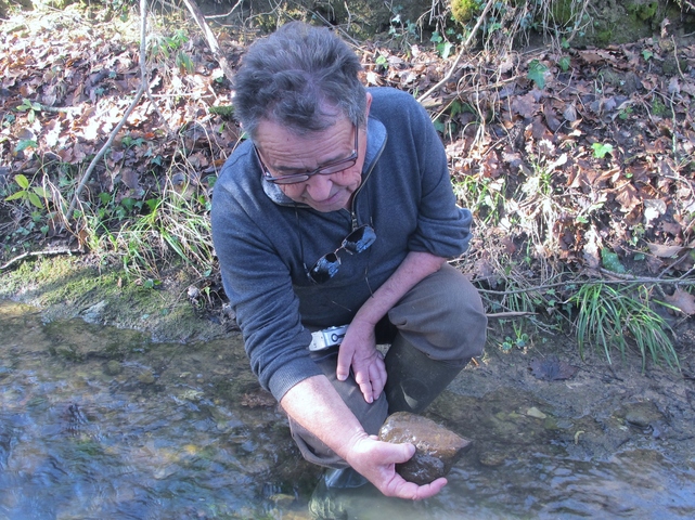 Qu'est-ce que le chevelu<small class="fine d-inline"> </small>? 