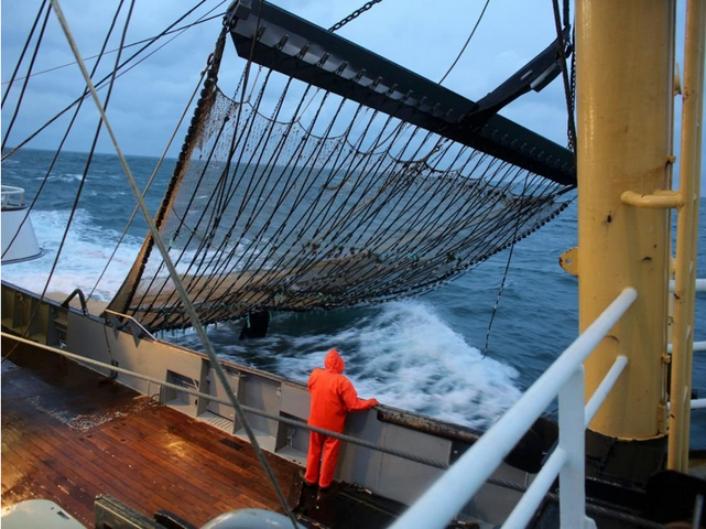 Bloom et des pêcheurs portent plainte pour pêche électrique illégale