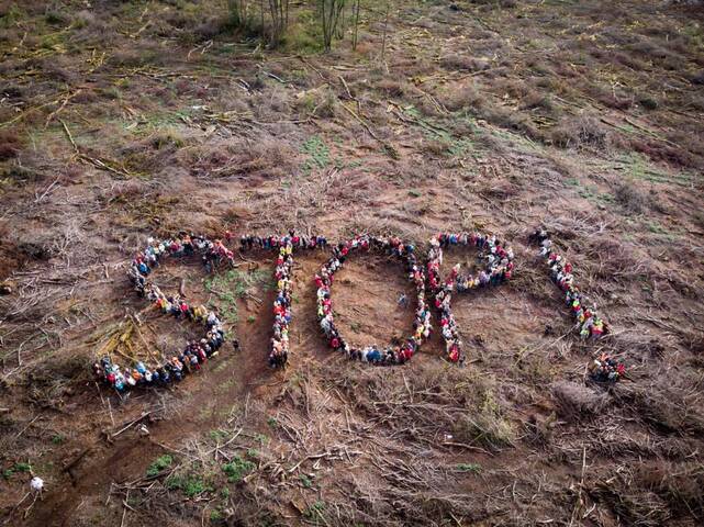 500 manifestants dans le Morvan contre les coupes rases en forêt