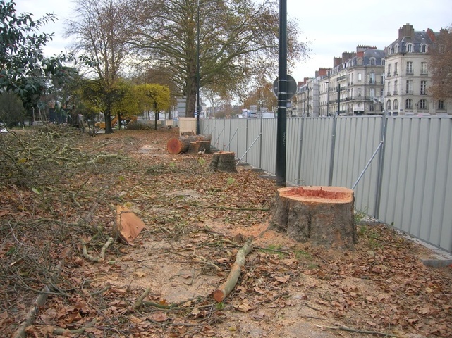 Les bétonneurs de Notre Dame des Landes voudraient que Nantes héberge l'Agence nationale de la biodiversité