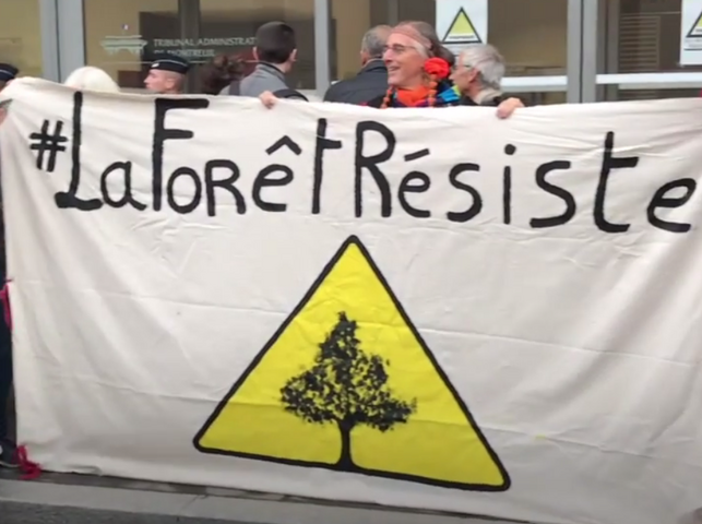 Une première victoire juridique pour les défenseurs de la forêt de Romainville