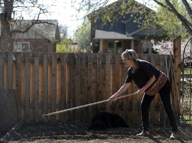 Les habitants de Denver se transforment en marchands des quatre saisons