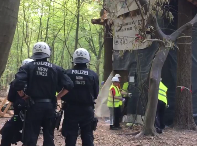 À Hambach, la police poursuit l'évacuation de la forêt