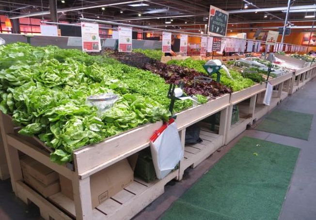 Marketing vert ou vrai circuit court paysan : dans le Nord, deux visions de l'agriculture s'affrontent