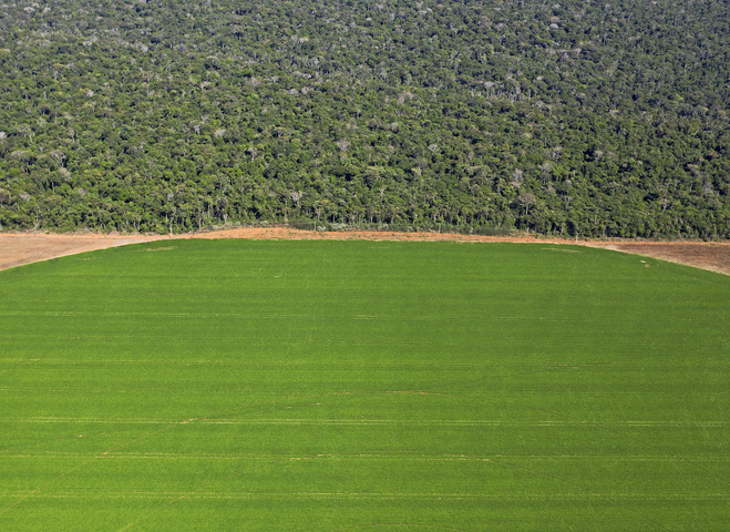 Le gouvernement et la déforestation importée : des mots, pas d'actes