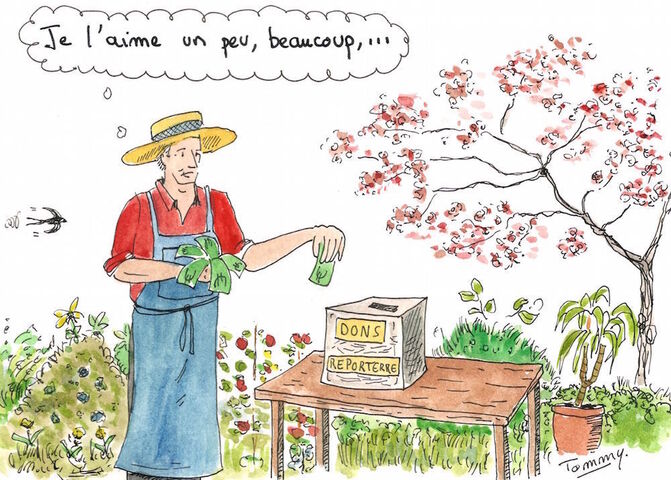 Les comptes 2015 de Reporterre