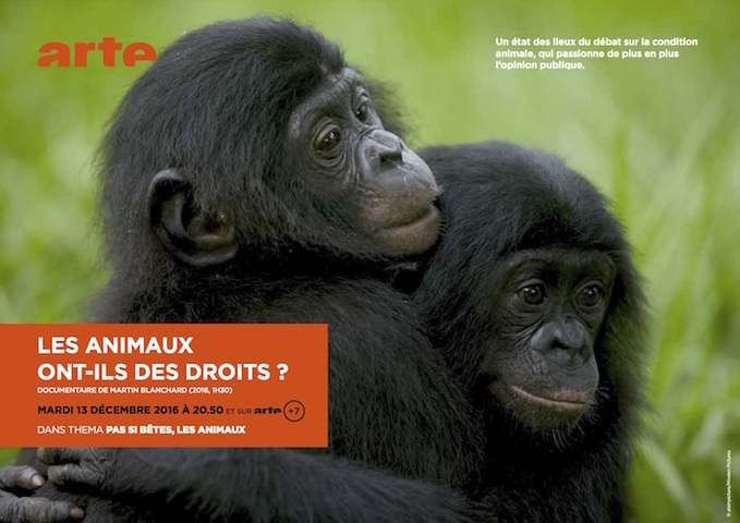 Un documentaire sur les droits des animaux, ce soir