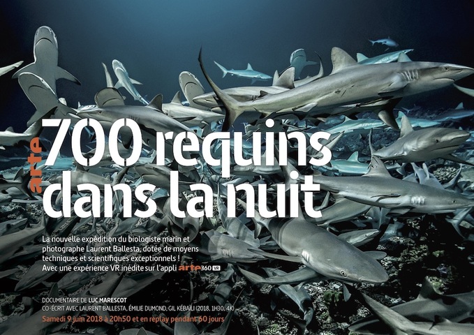 À <span class="caps">LA</span> TÉLÉ - Le secret des requins gris