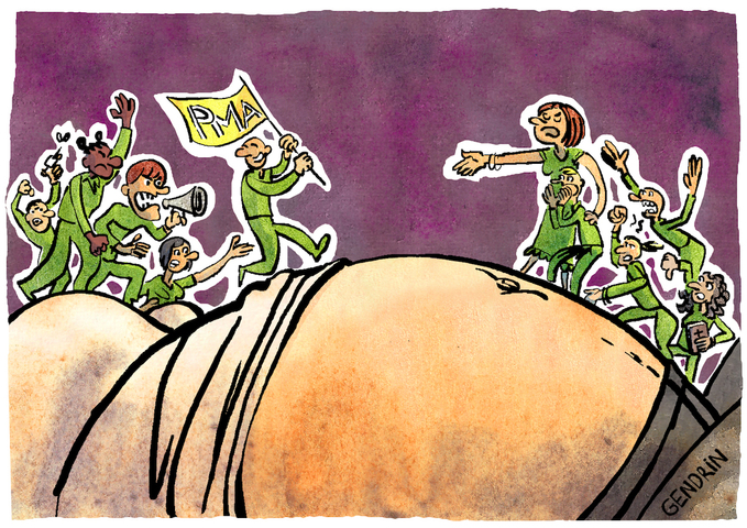 La <span class="caps">PMA</span>, un débat toujours en gestation chez les écolos