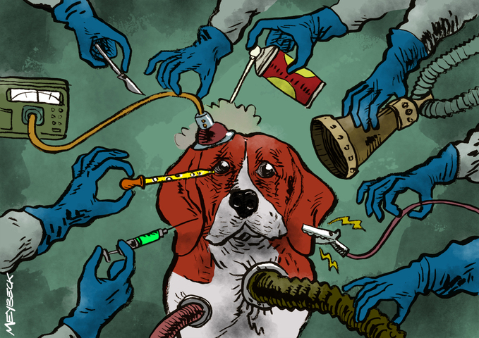 Tous les ans, 20 000 chiens livrés à l'expérimentation animale en Europe