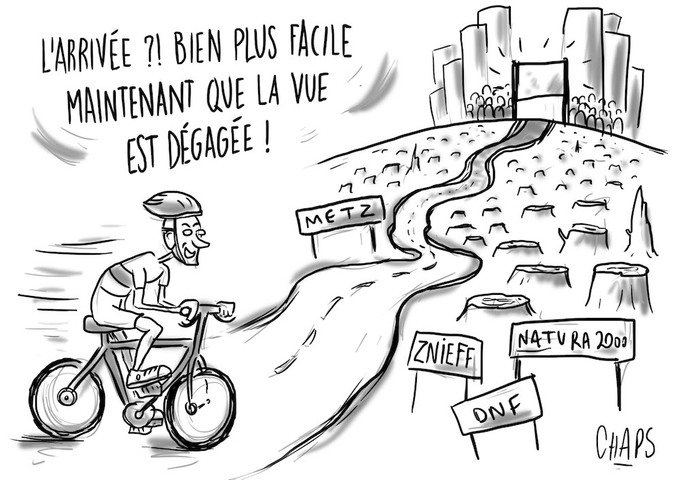 En Moselle, le Tour de France massacre des arbres magnifiques