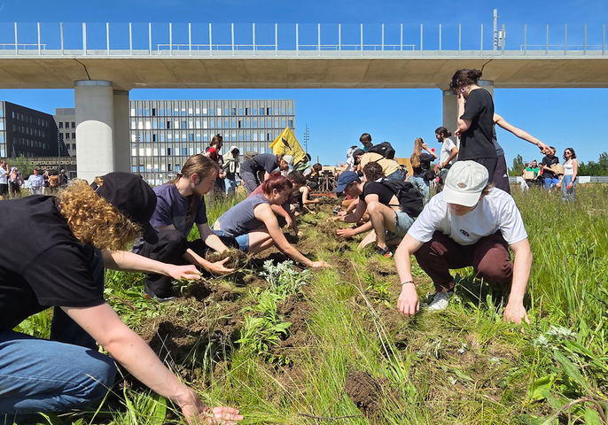 «<small class="fine d-inline"> </small>Des grains de sable dans la machine<small class="fine d-inline"> </small>» : partout en France, des mobilisations contre le béton